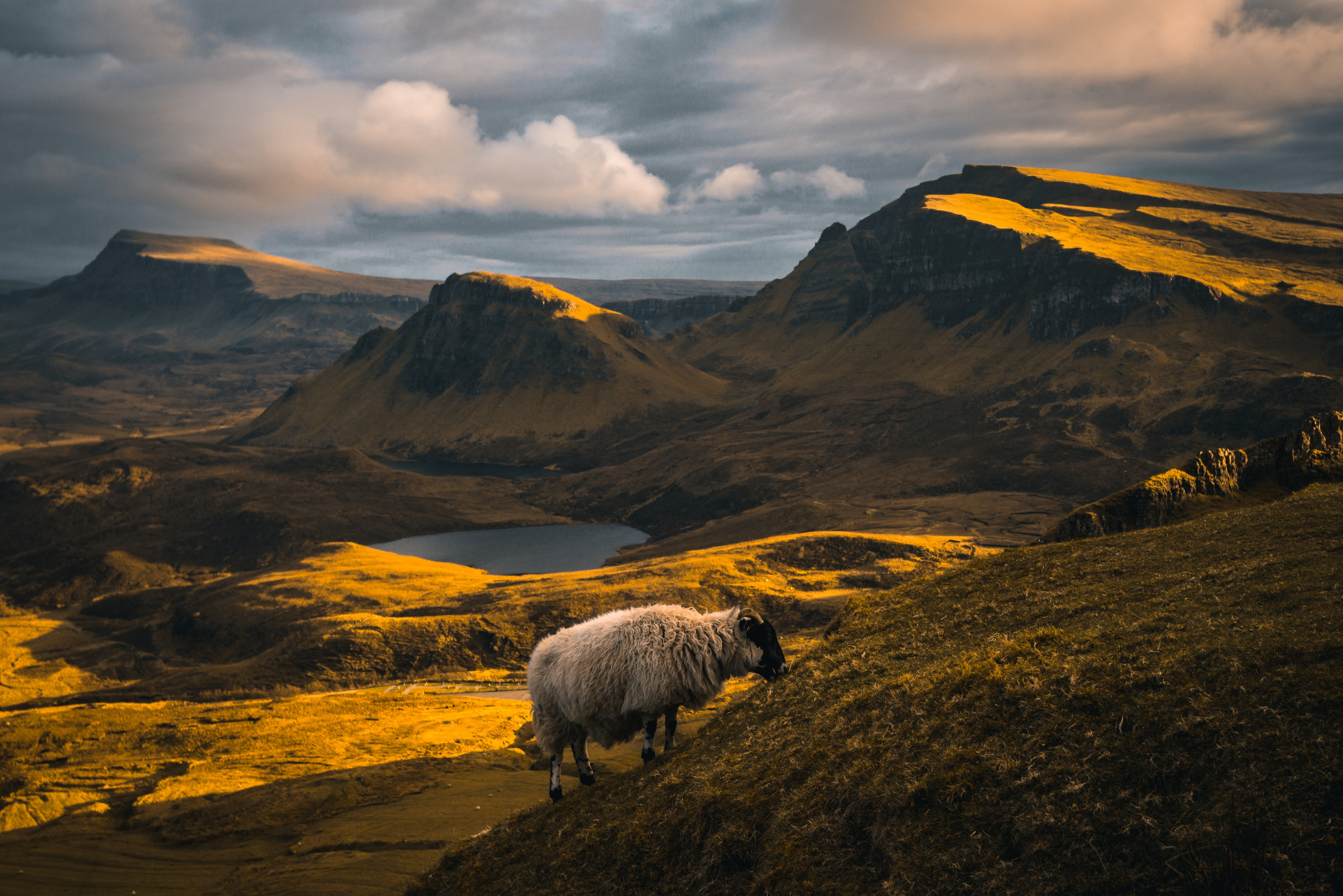A scenic shot of the Scotland Quiraing landslip with mountains, a small lake, and sheep grazing